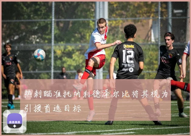 热刺瞄准托纳利德泽尔比将其视为引援首选目标