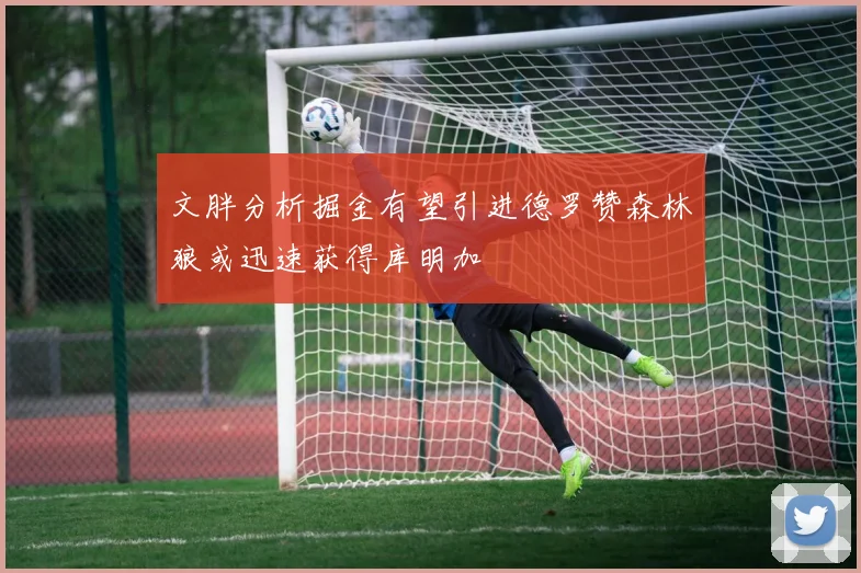 文胖分析掘金有望引进德罗赞森林狼或迅速获得库明加